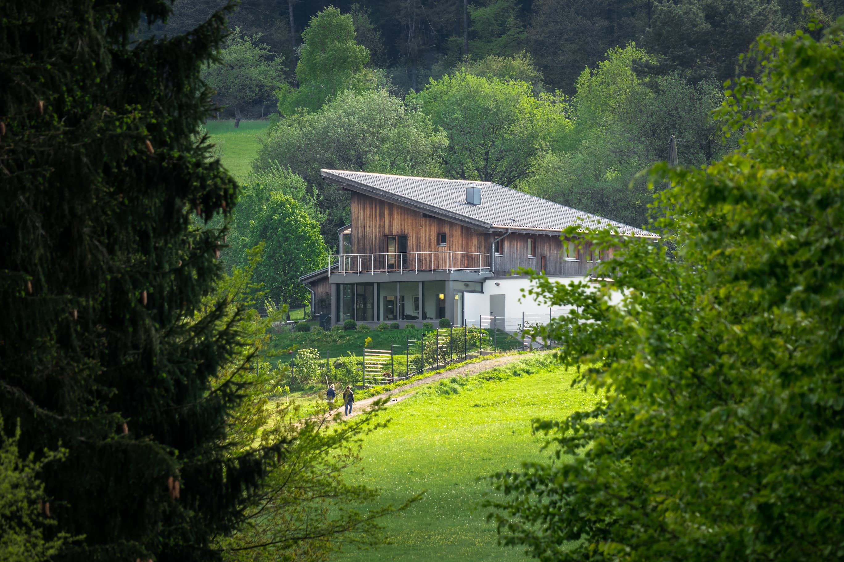 Maison dans une forêt